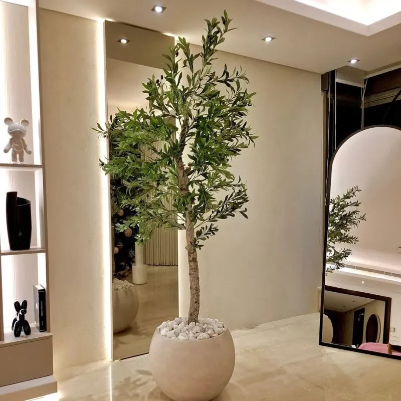 olive tree in a round concrete pot — white home hallway, Lebanon — installation by Neon Jungle Studios