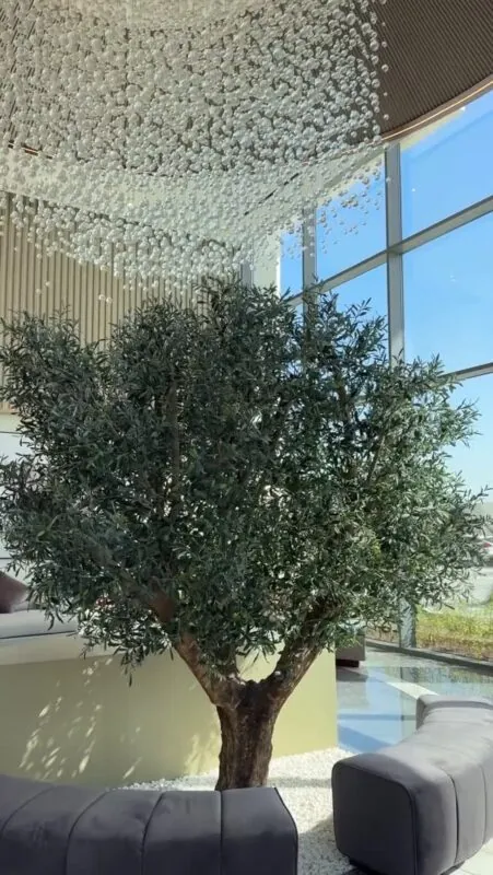 olive tree on a real treated trunk — home under a crystal ceiling, Lebanon — installation by Neon Jungle Studios