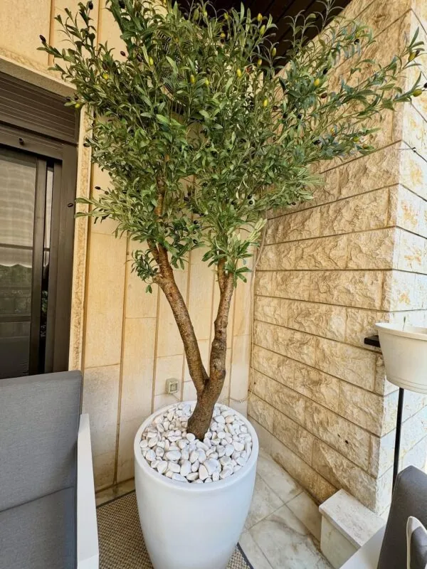 olive tree on a real treated trunk — residential balcony, Lebanon — installation by Neon Jungle Studios