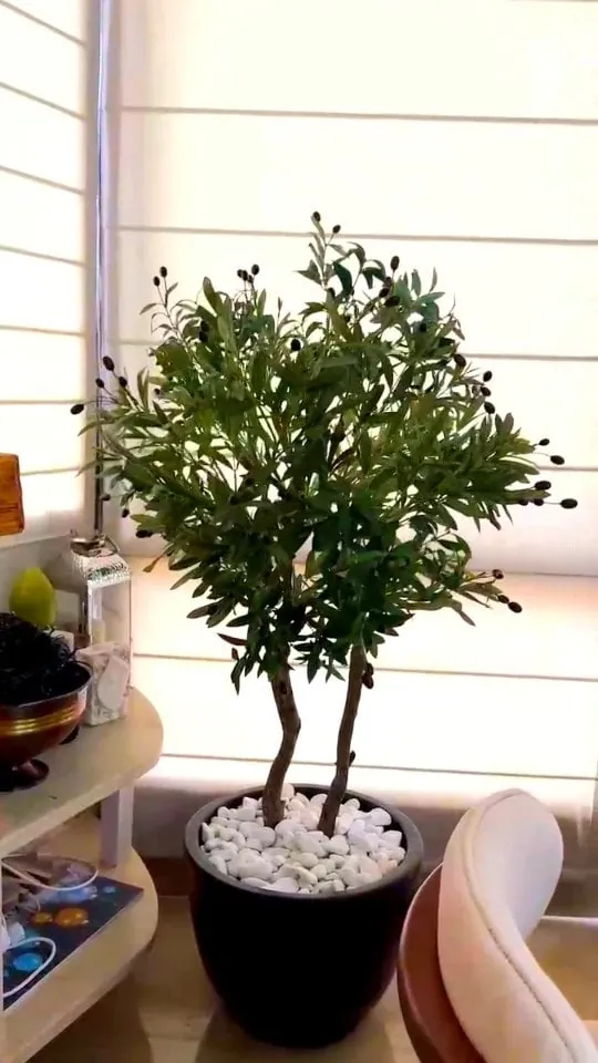 olive tree on a real wood trunk — living room, Lebanon — installation by Neon Jungle Studios