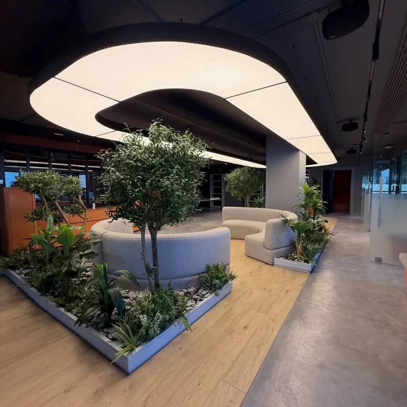 olive trees in low planted islands — office lounge, Lebanon — installation by Neon Jungle Studios