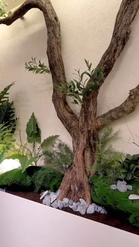 olive trunk with moss and ferns — interior wall, Lebanon — installation by Neon Jungle Studios