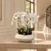 Orchid Arrangement with Planter styled in an interior — Neon Jungle Studios