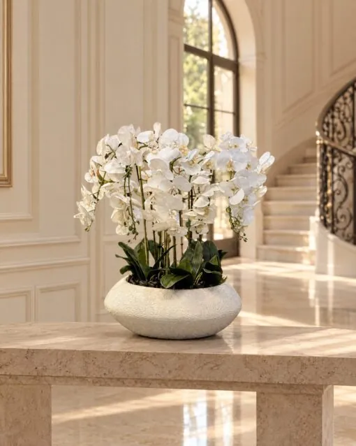 Orchid Arrangement with Planter styled in an interior — Neon Jungle Studios