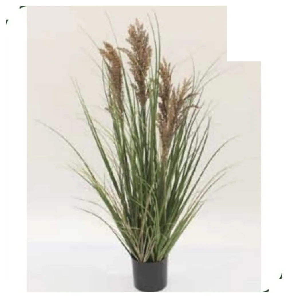 Ornamental Grass with Plumes 90 cm – Neon Jungle Studios