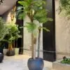 Palm Tree 3 Trunks 200 cm – artificial tree in the Jdeideh showroom, Neon Jungle Studios