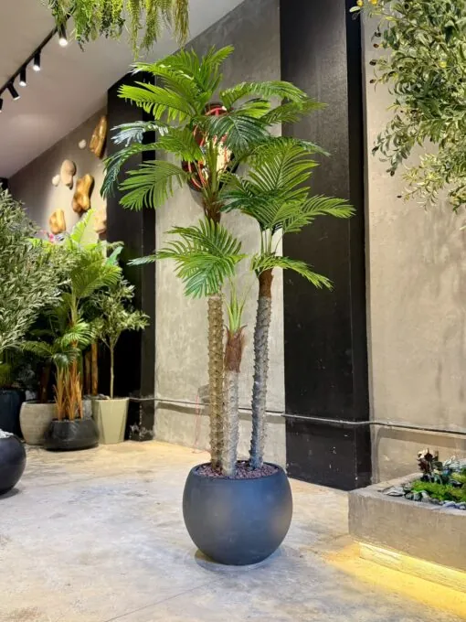 Palm Tree 3 Trunks 210 cm