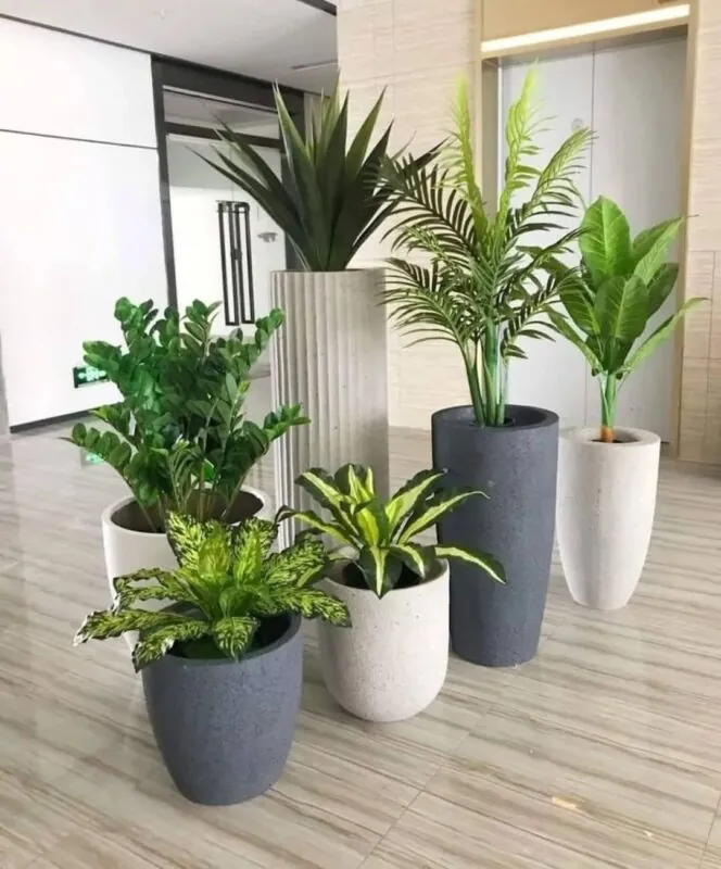 palms and agave in textured pots — office corner, Lebanon — installation by Neon Jungle Studios