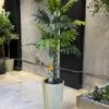Philodendron Tree 2 Trunks 150 cm – artificial tree in the Jdeideh showroom, Neon Jungle Studios