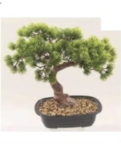Pine Bonsai 40 cm – Neon Jungle Studios