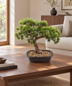 Pine Bonsai 40 cm styled in an interior — Neon Jungle Studios