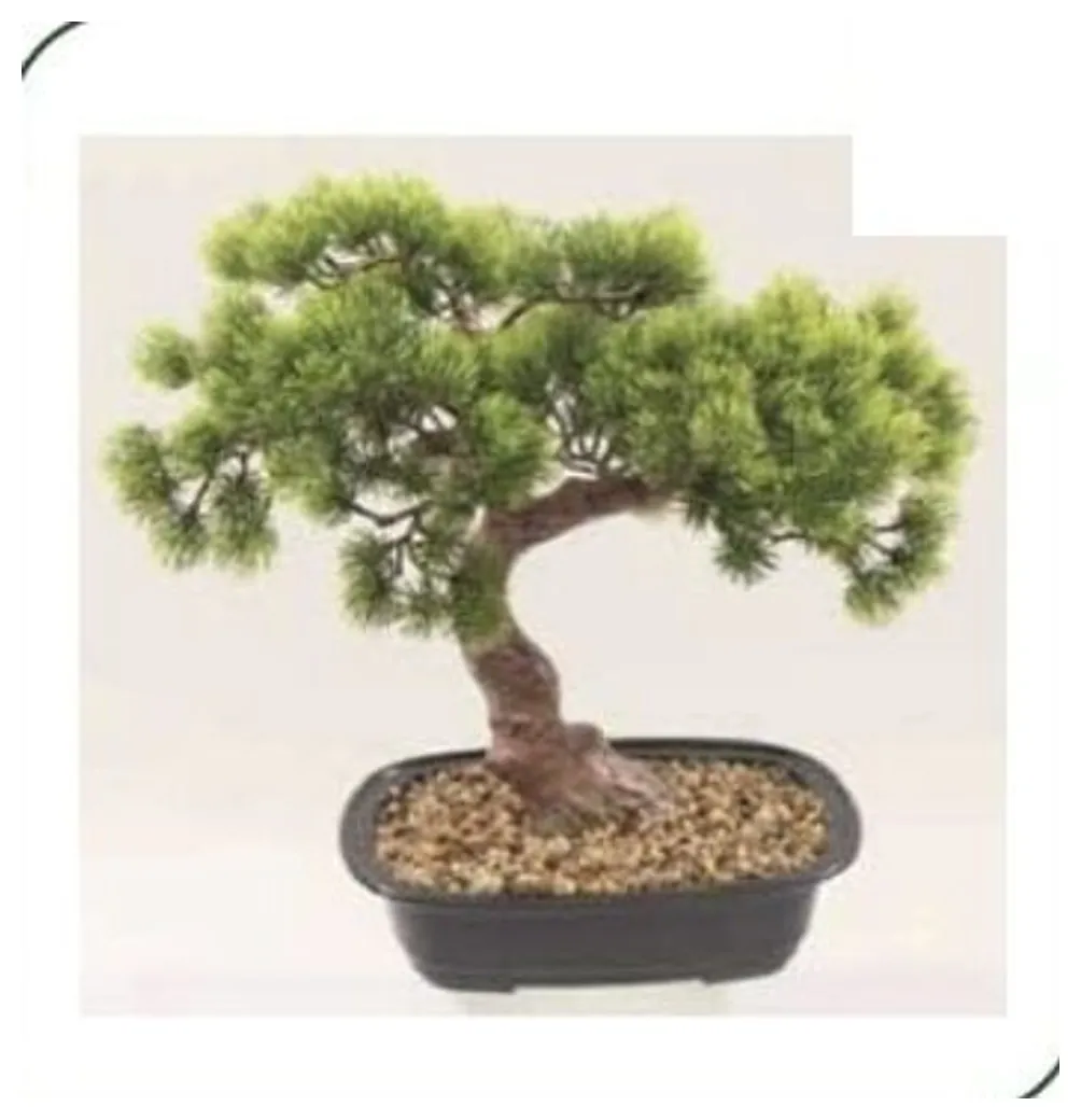 Pine Bonsai 40 cm – Neon Jungle Studios