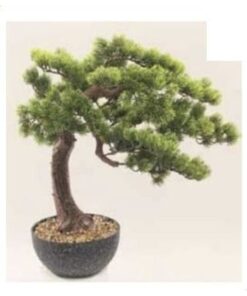 Pine Bonsai 60 cm – Neon Jungle Studios