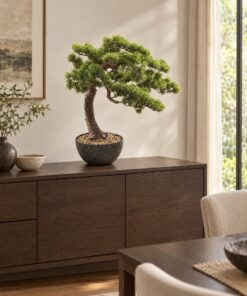 Pine Bonsai 60 cm styled in an interior — Neon Jungle Studios