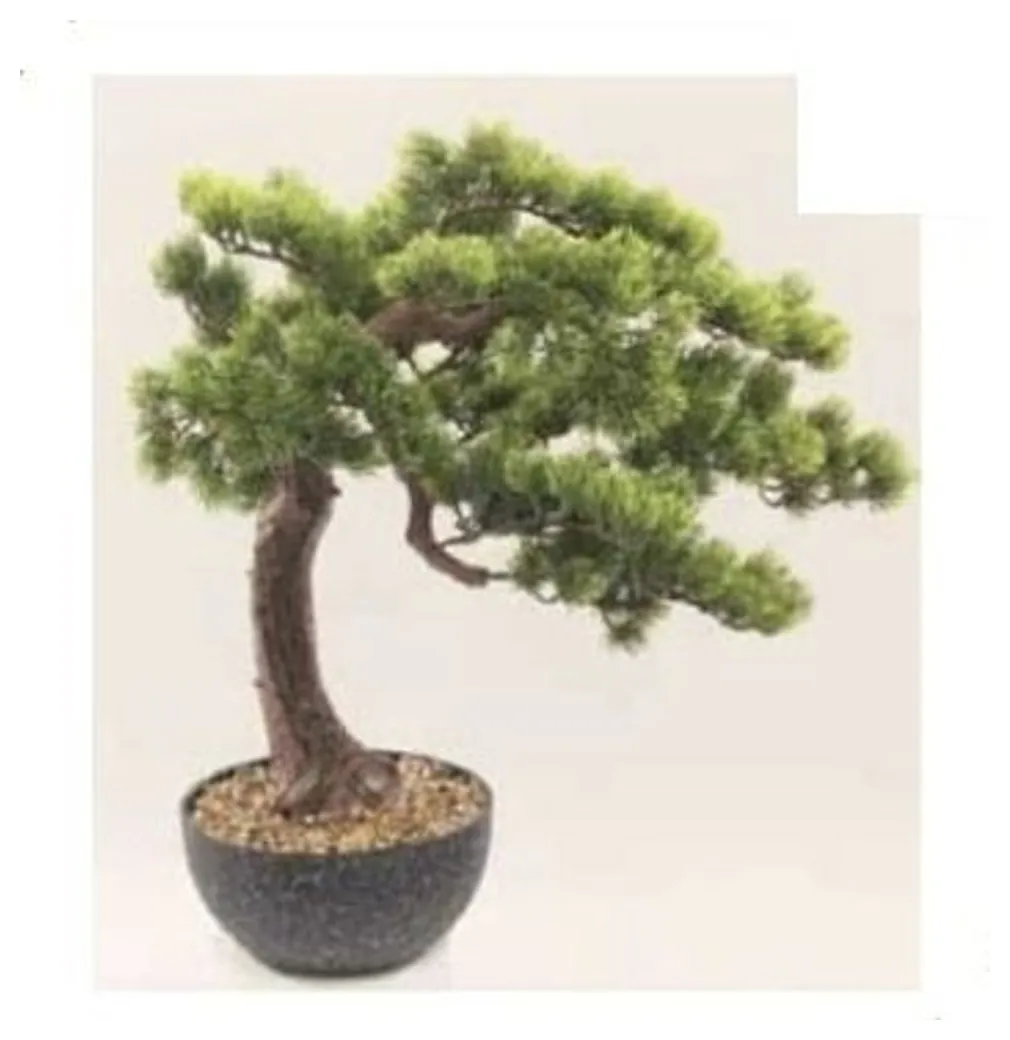 Pine Bonsai 60 cm – Neon Jungle Studios