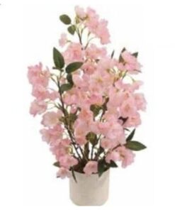 Pink Cherry Blossom Bonsai 50 cm – Neon Jungle Studios