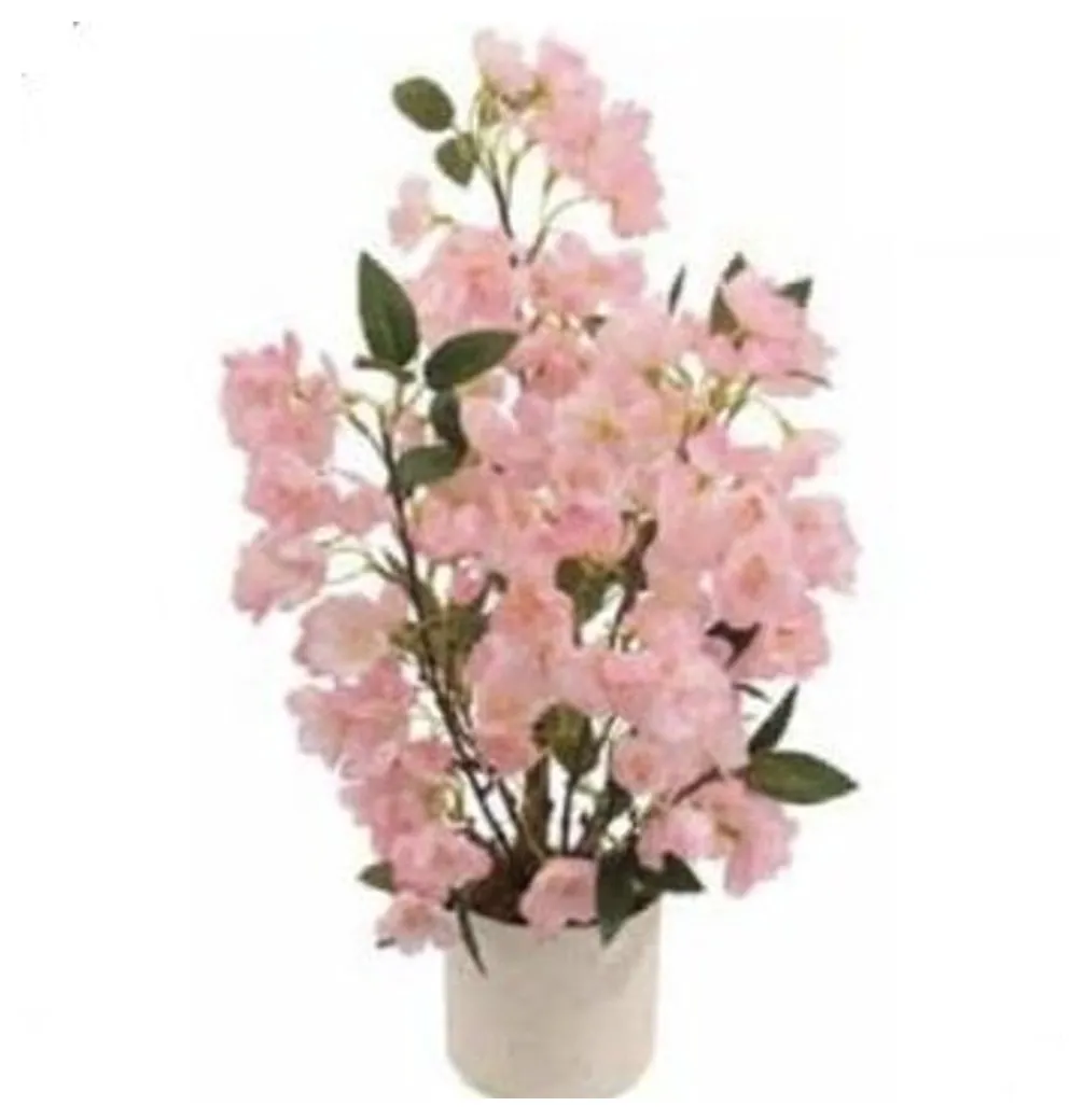 Pink Cherry Blossom Bonsai 50 cm – Neon Jungle Studios