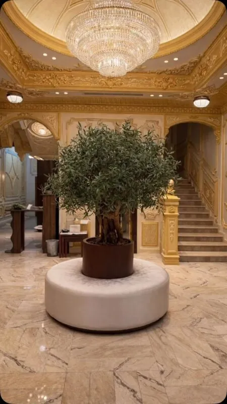 Grand marble hall – An olive tree on a real olive wood trunk, under a crystal chandelier
