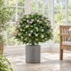 Purple Blossom Topiary Ball 54 cm styled in an interior — Neon Jungle Studios