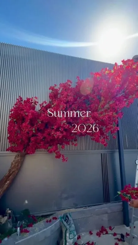 red bougainvillea tree — sunny terrace wall, Lebanon — installation by Neon Jungle Studios