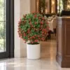 Red Rose Topiary Ball 54 cm styled in an interior — Neon Jungle Studios