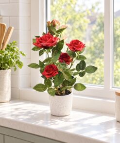 Rose Plant 45 cm styled in an interior — Neon Jungle Studios