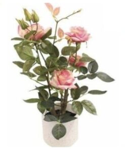 Rose Plant 45 cm – Pink – Neon Jungle Studios