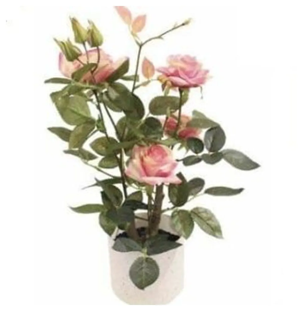 Rose Plant 45 cm – Pink – Neon Jungle Studios