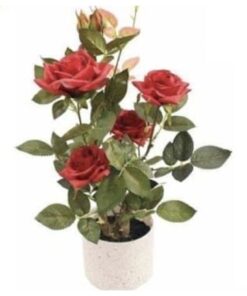 Rose Plant 45 cm – Red – Neon Jungle Studios
