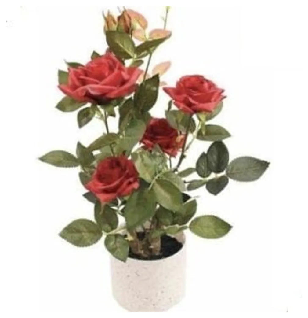 Rose Plant 45 cm – Red – Neon Jungle Studios