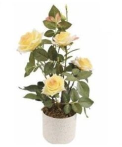 Rose Plant 45 cm – Yellow – Neon Jungle Studios