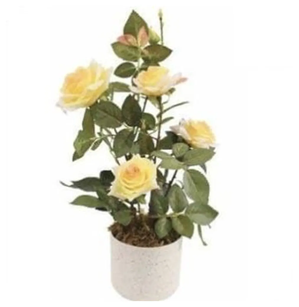 Rose Plant 45 cm – Yellow – Neon Jungle Studios