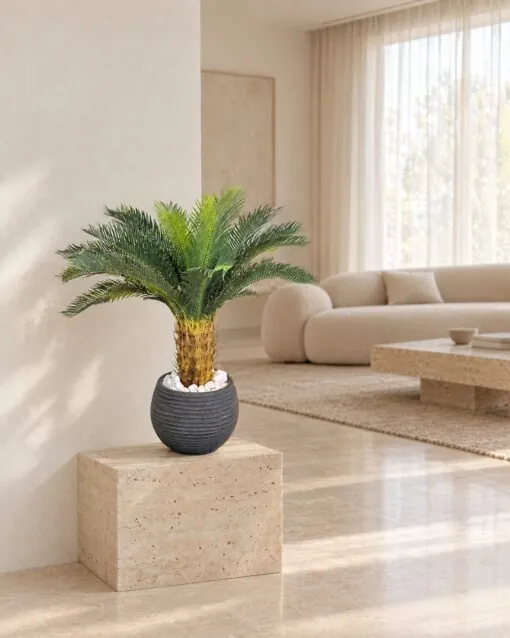 Sago Palm 50 cm styled in an interior — Neon Jungle Studios