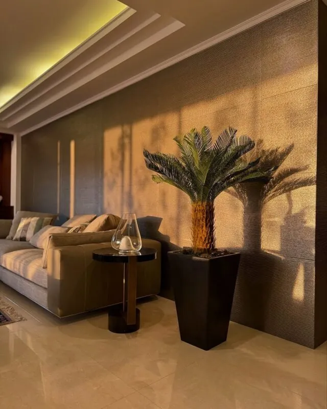 sago palm in a tall black planter — living room, Lebanon — installation by Neon Jungle Studios