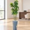 Schefflera Arboricola Multi-Stem Tree 130 cm styled in an interior — Neon Jungle Studios