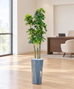 Schefflera Arboricola Multi-Stem Tree 130 cm styled in an interior — Neon Jungle Studios