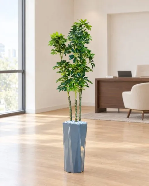Schefflera Arboricola Multi-Stem Tree 130 cm styled in an interior — Neon Jungle Studios