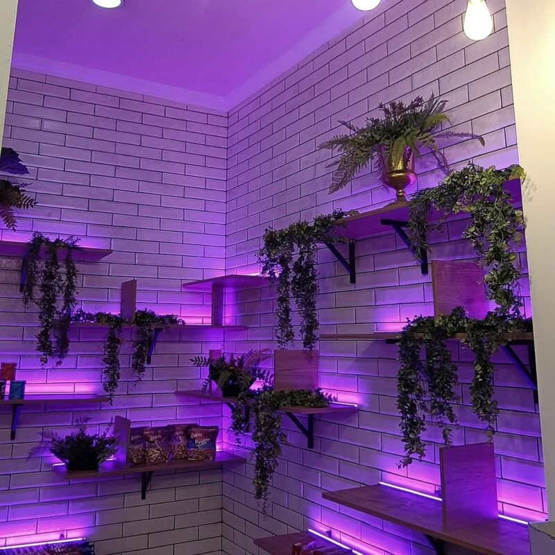 shelves with trailing greenery and LED light — brick wall interior, Lebanon — installation by Neon Jungle Studios