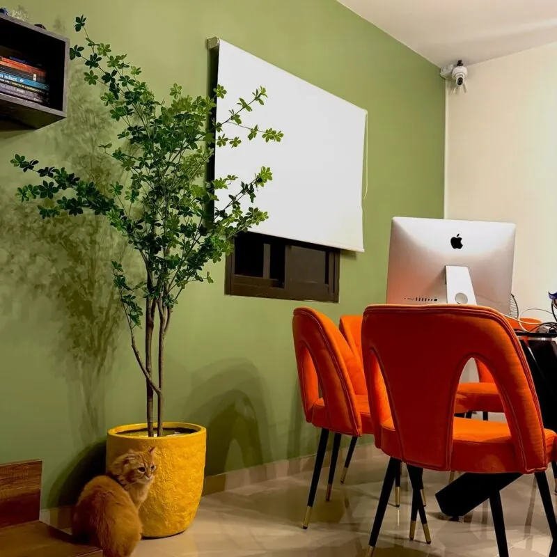 slim tree in a yellow textured pot — home office, Lebanon — installation by Neon Jungle Studios