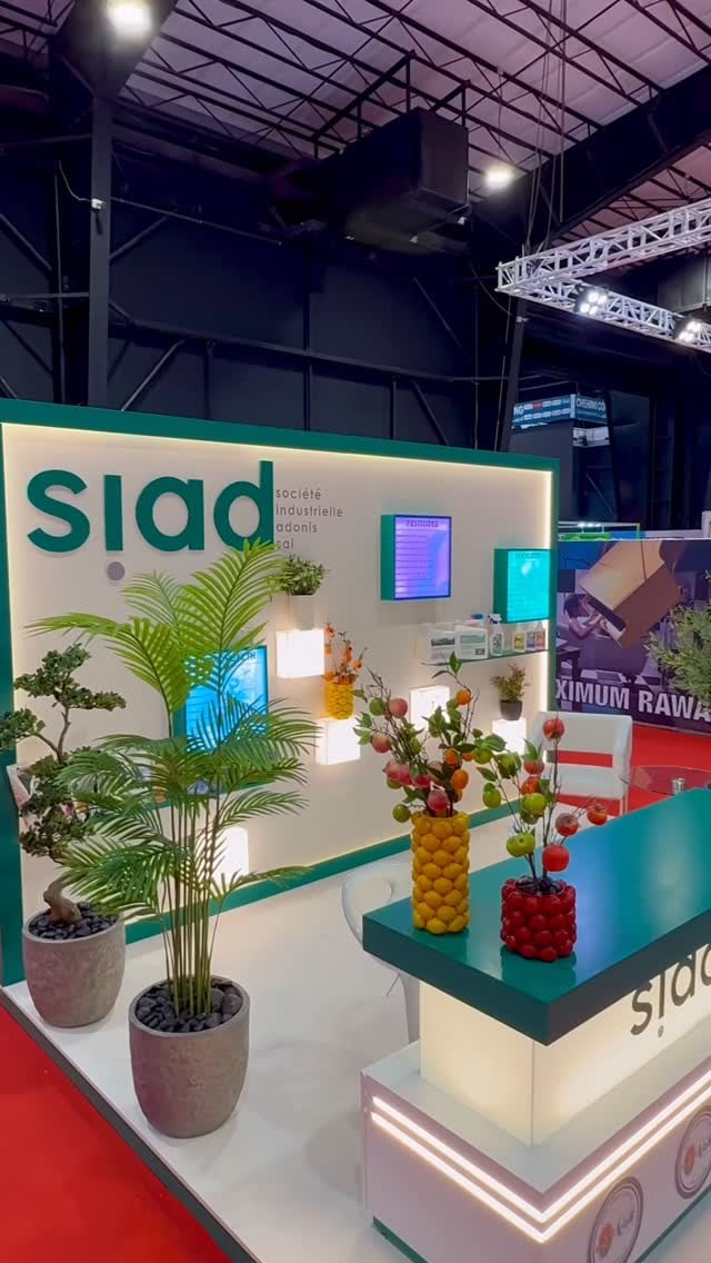 stand décor with palms and fruit vases — industry expo in Beirut, Beirut — installation by Neon Jungle Studios