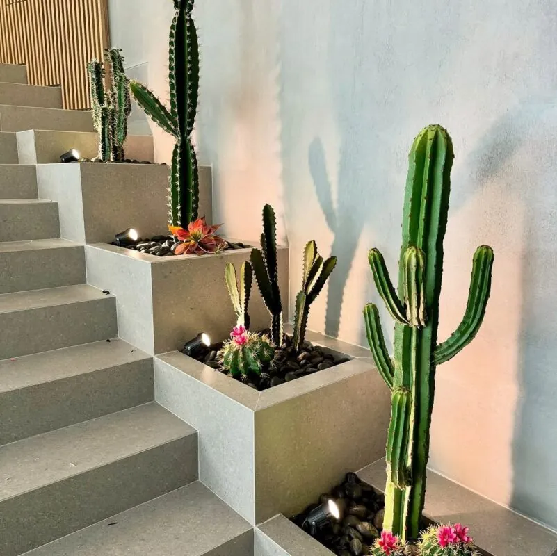 stepped planters of cacti and flowers — clinic staircase, Lebanon — installation by Neon Jungle Studios