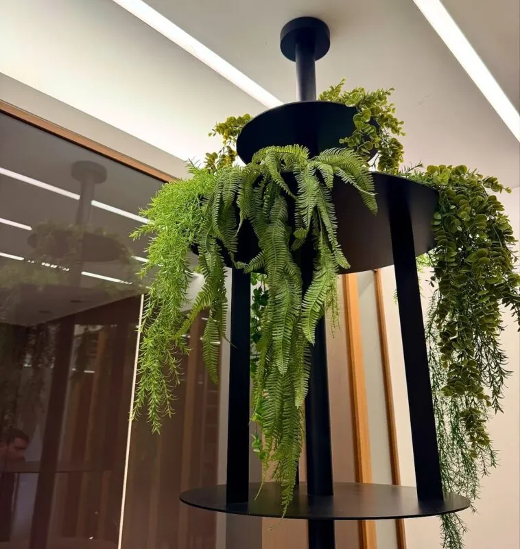 suspended shelves with trailing greenery — shop display, Lebanon — installation by Neon Jungle Studios
