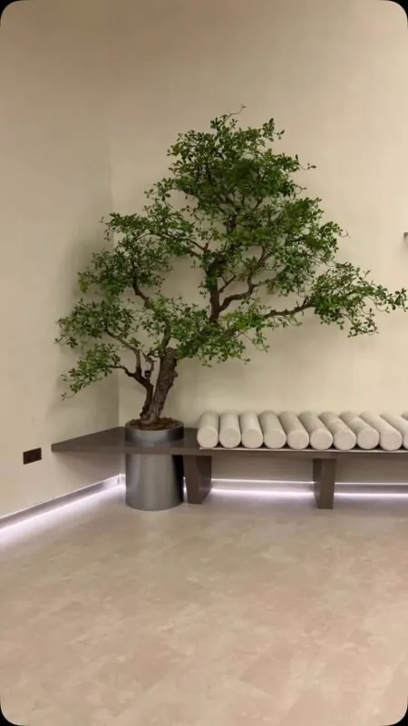 wabi-sabi tree on a natural trunk — minimal home entrance, Lebanon — installation by Neon Jungle Studios