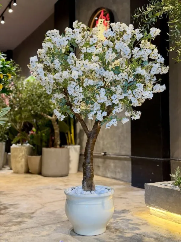 white blossom tree in a white pot — residential project, Lebanon — installation by Neon Jungle Studios