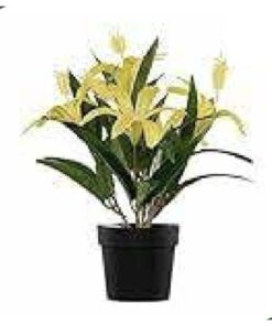 Yellow Lily Plant 28 cm – Neon Jungle Studios