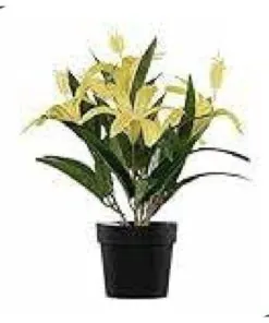 Yellow Lily Plant 28 cm – Neon Jungle Studios
