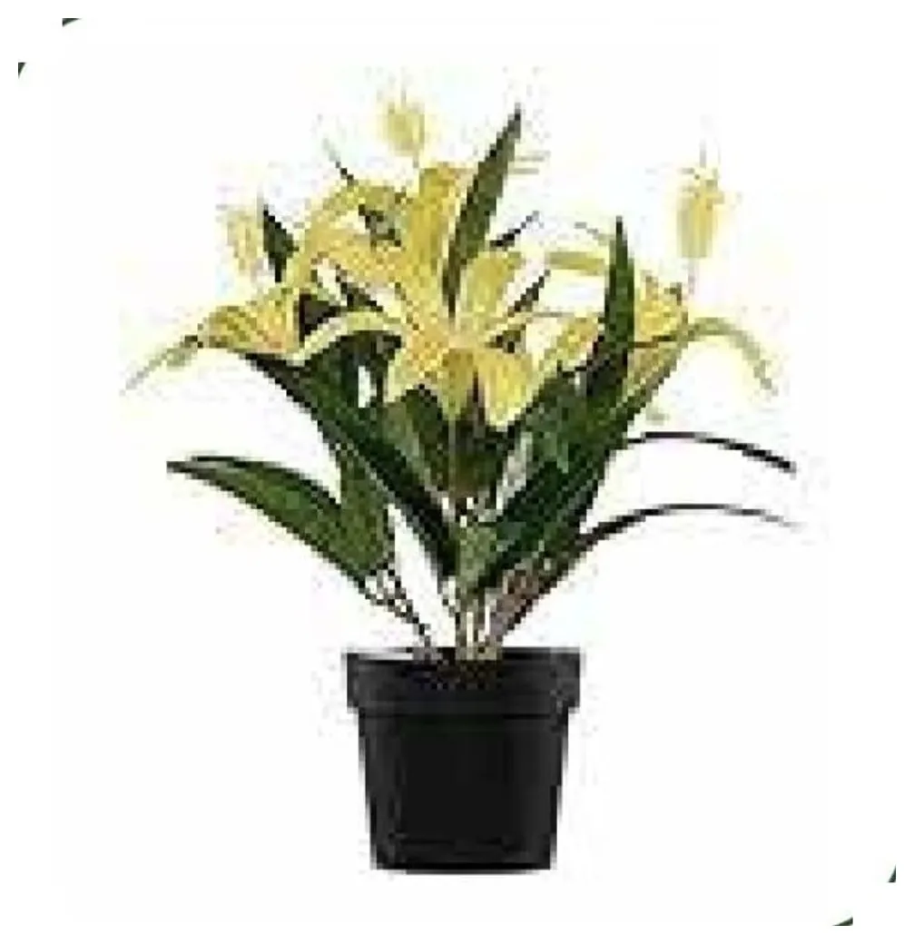 Yellow Lily Plant 28 cm – Neon Jungle Studios
