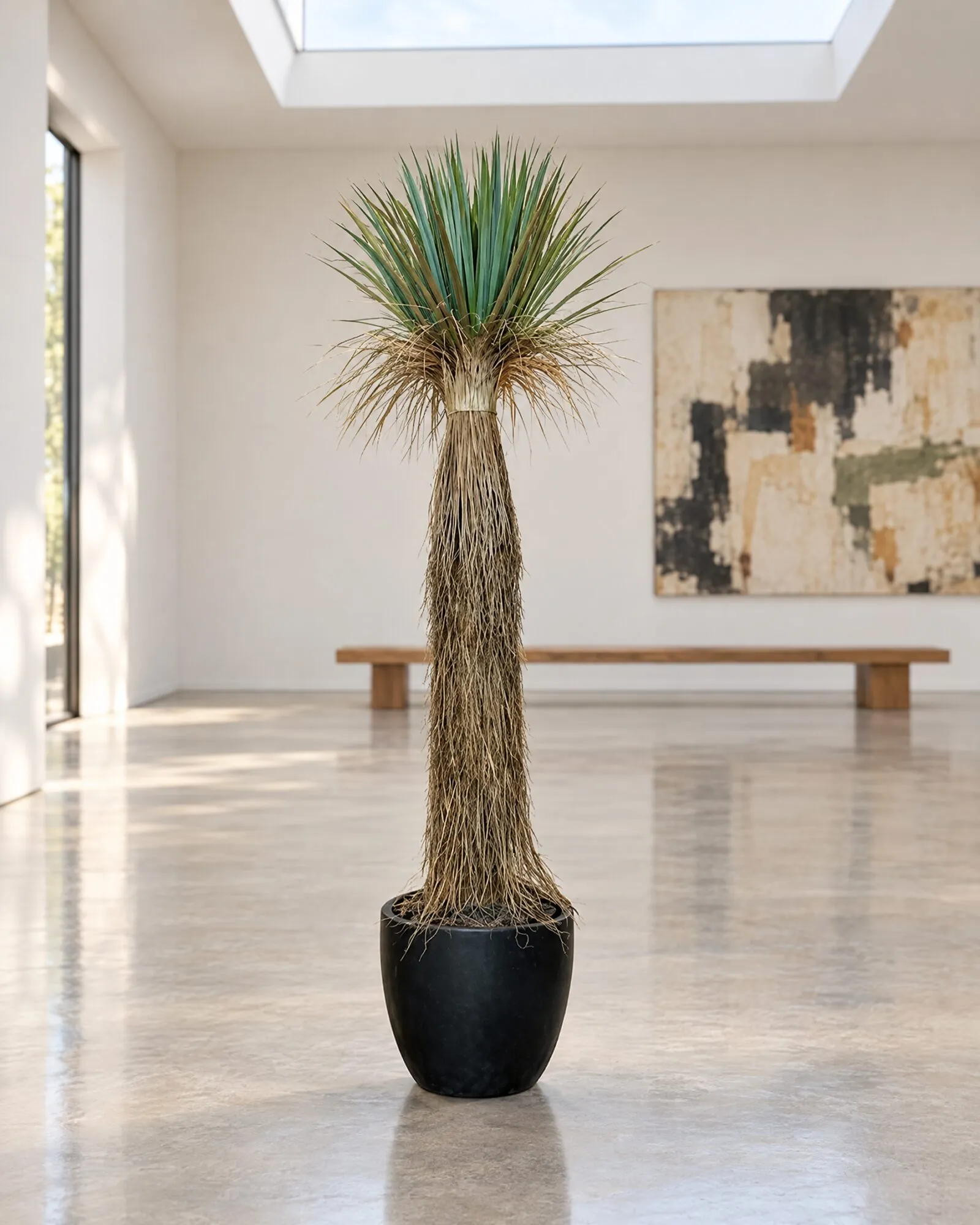 Yucca Rostrata styled in an interior — Neon Jungle Studios