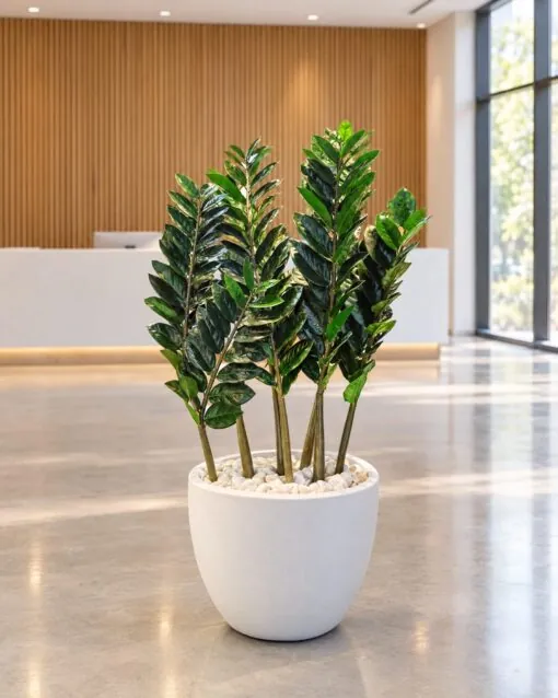 Zanzibar Gem Plant large leaves styled in an interior — Neon Jungle Studios